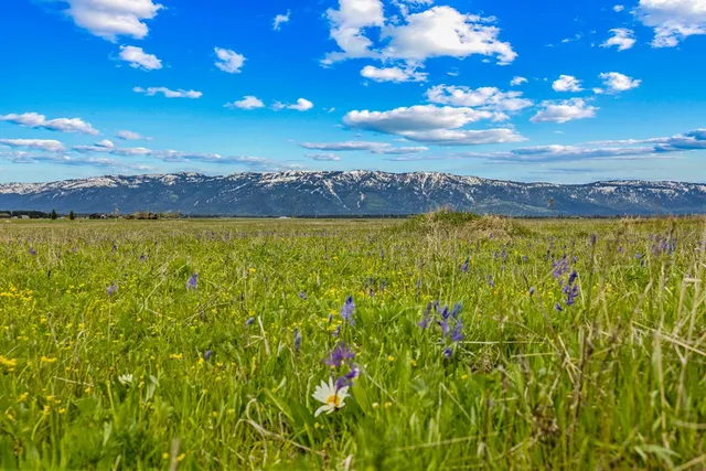 $379,999 | 15 Ringo Lane, Unit 1, McCall, ID 83638