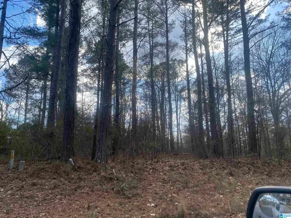 $18,900 | Lot 18 Dogwood Circle, Unit 18, Lafayette, AL 36862