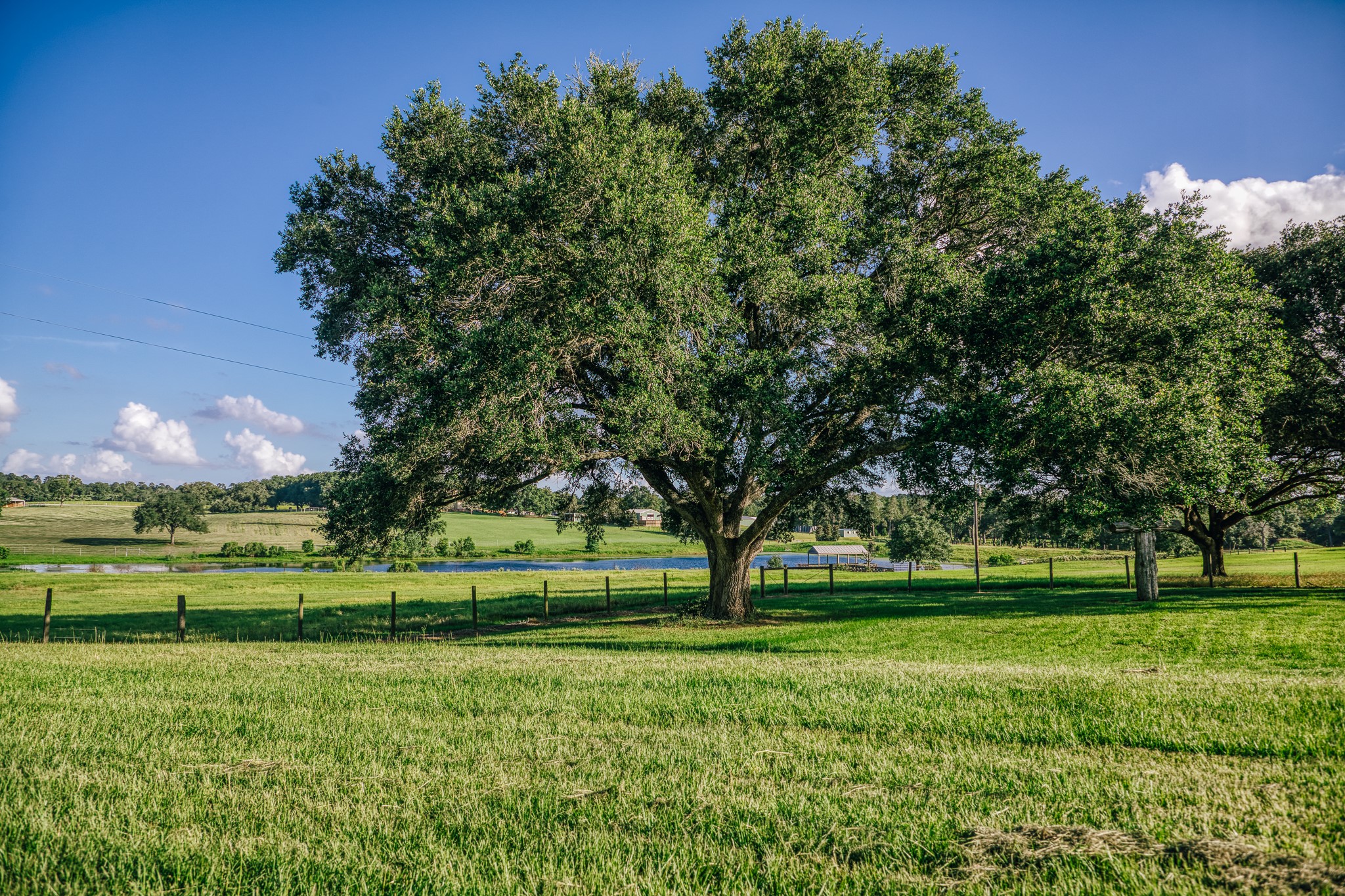 1034 Hilbun Road New Ulm, TX 78950 - Photo 8 of 49