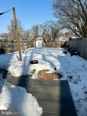 a view of a yard with trees
