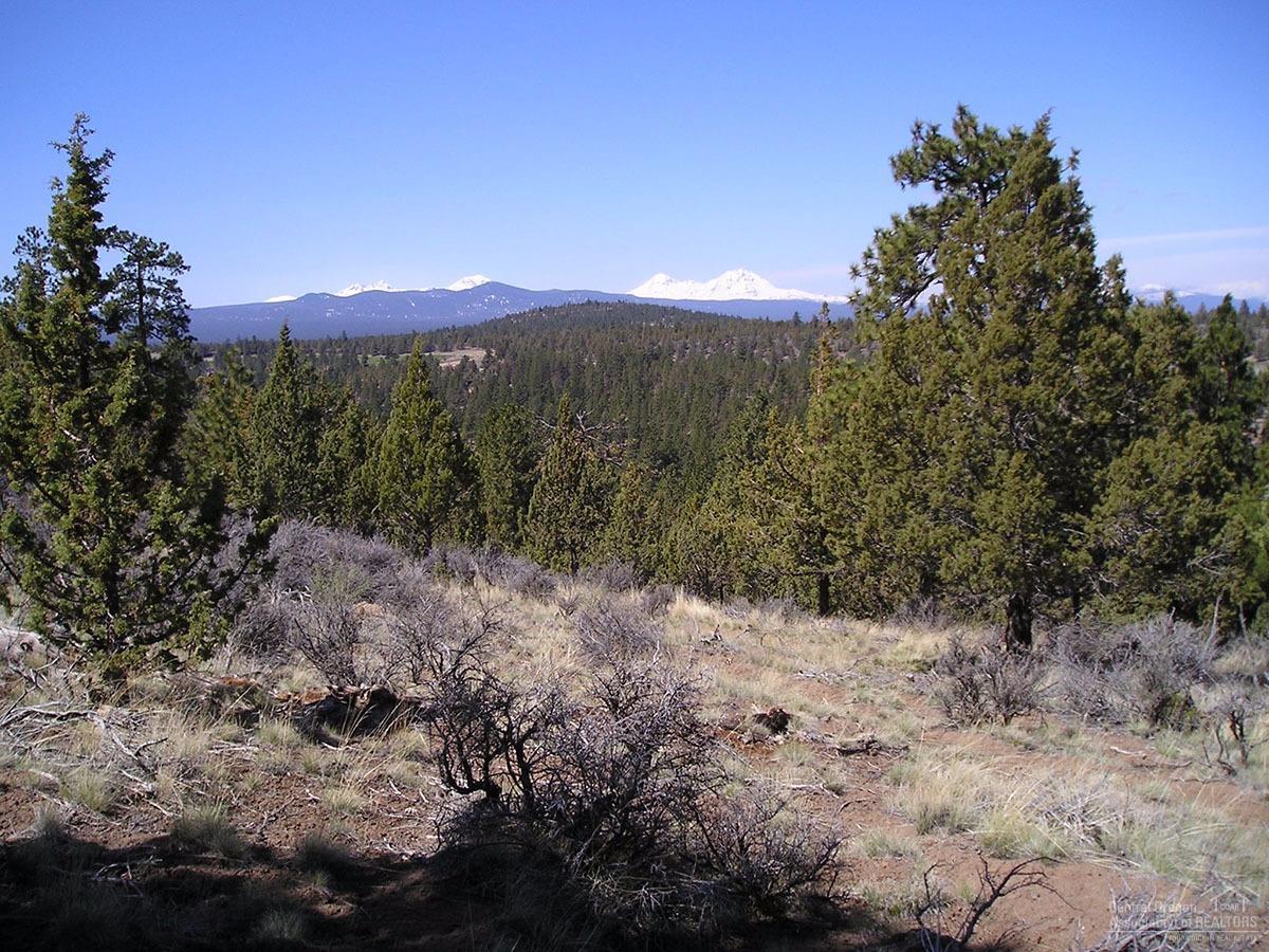 1660 Northwest Wild Rye Circle Bend, OR 97703 - Photo 1 of 20 Primary Photo