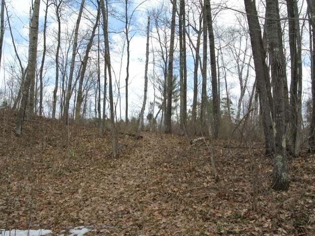 On Back Bay Road Minocqua, WI 54548 - Photo 12 of 15 Gallery Image 12
