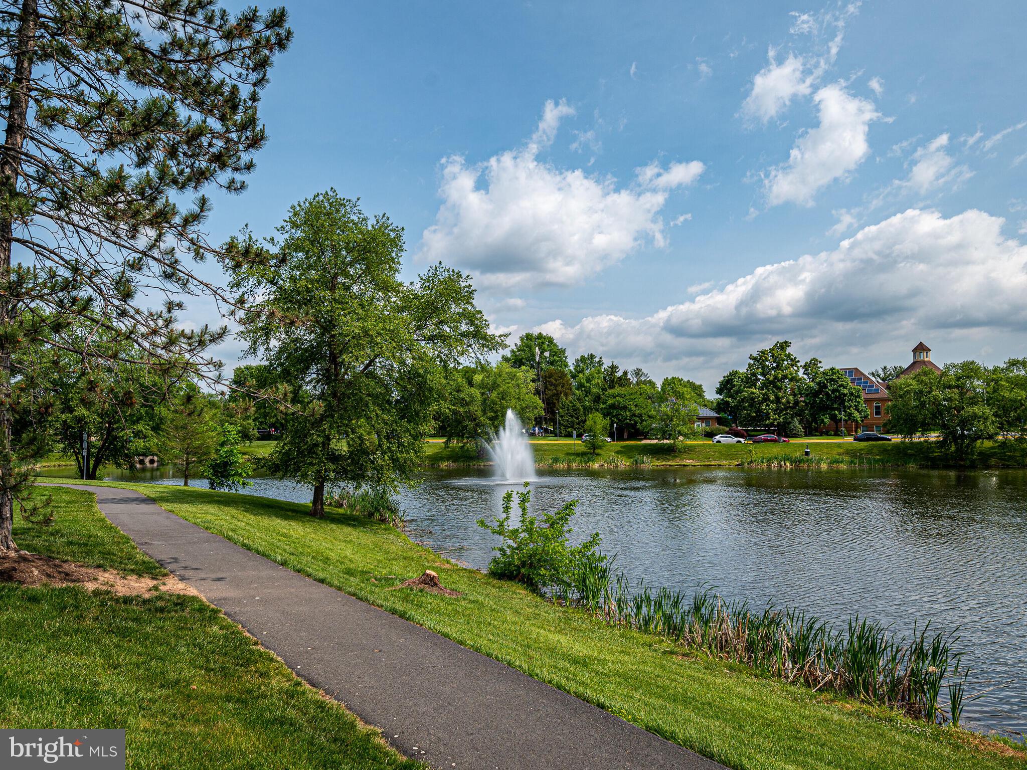 21140 Dray Terrace Ashburn, VA 20147 - Photo 3 of 59 Pond & Trails beyond common area - fantastic lot!