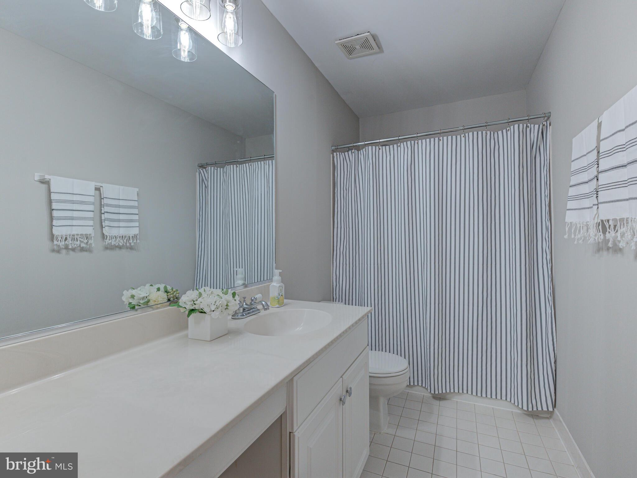 21140 Dray Terrace Ashburn, VA 20147 - Photo 37 of 59 Hall Bath w/Oversized Vanity & New Lighting
