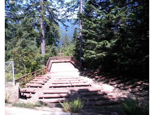 a view of a pathway with a tree