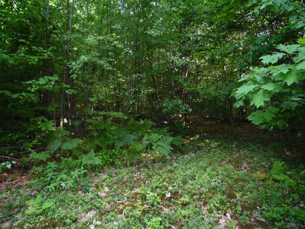 142 Putney Road Andover, NH 03216 - Photo 24 of 29