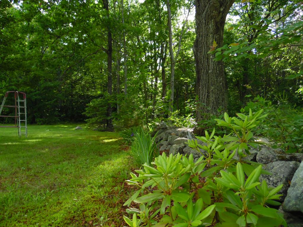 142 Putney Road Andover, NH 03216 - Photo 28 of 29