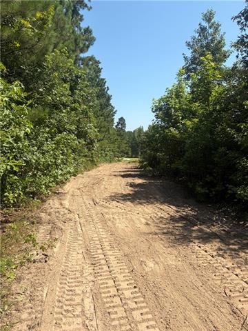 Tbd Posey Road Natchitoches, LA 71457 - Photo 9 of 10