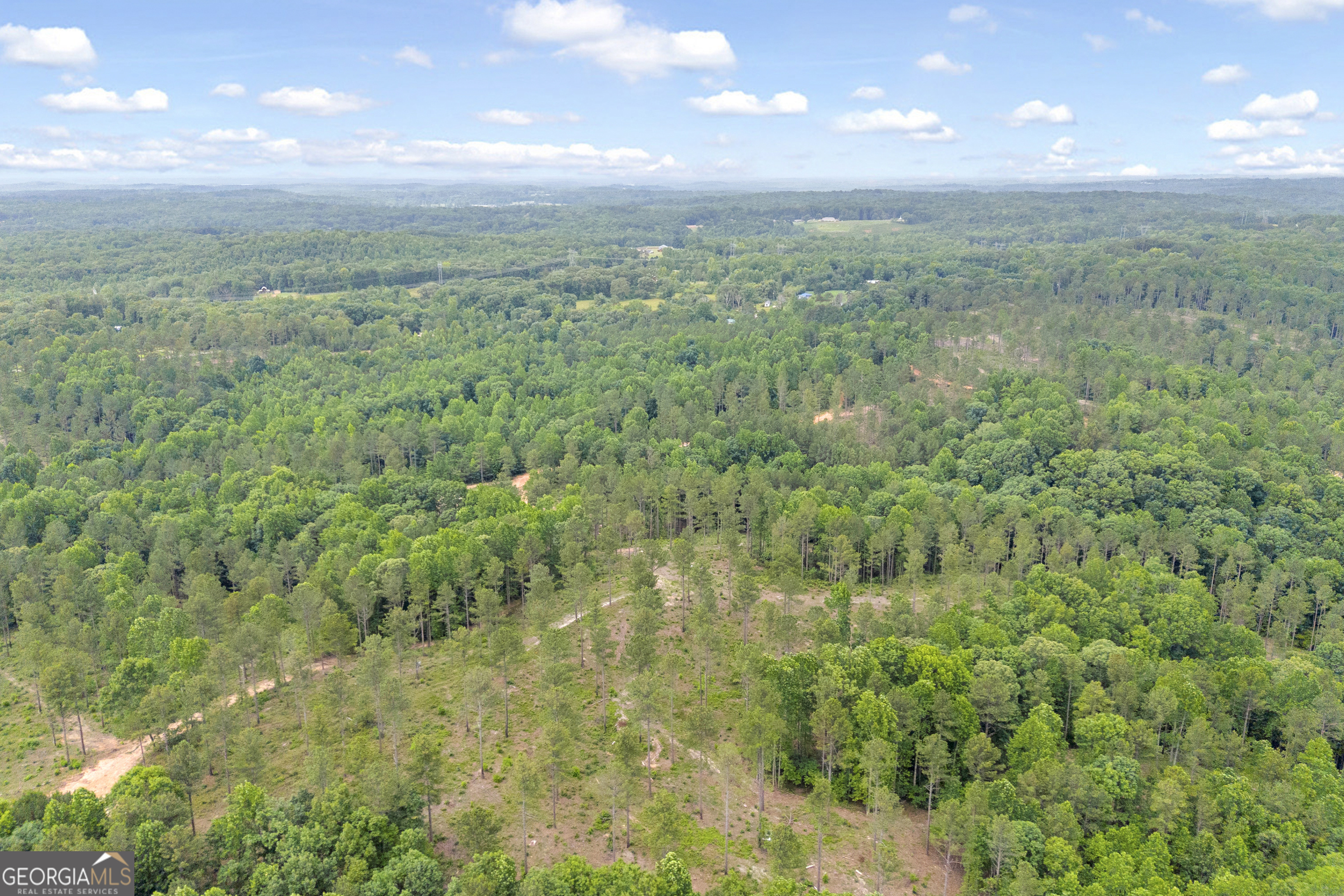 0 Mt Sinai Road, Unit LOT 1 Lula, GA 30554 - Photo 41 of 67