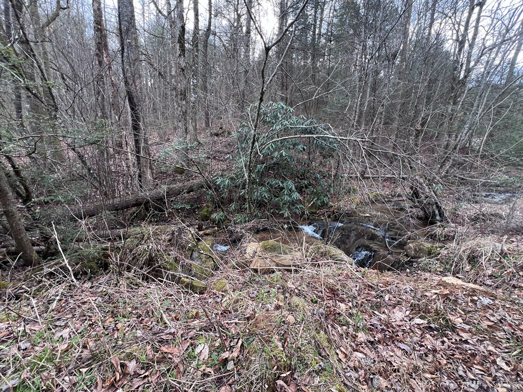 1-2 Graves Road Murphy, NC 28906 - Photo 8 of 12