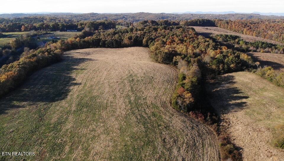 Pine Grove Loudon, TN 37774 - Photo 6 of 8 IMG_0122