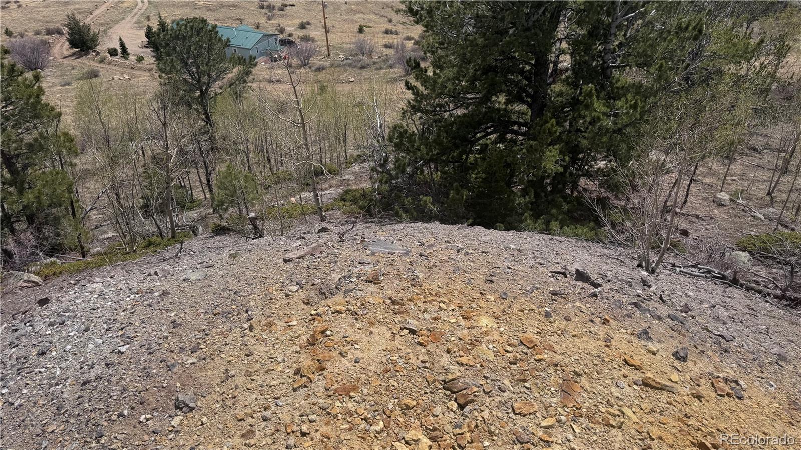 1 Mac Rock Road Central City, CO 80427 - Photo 16 of 20 a view of a dry yard with trees