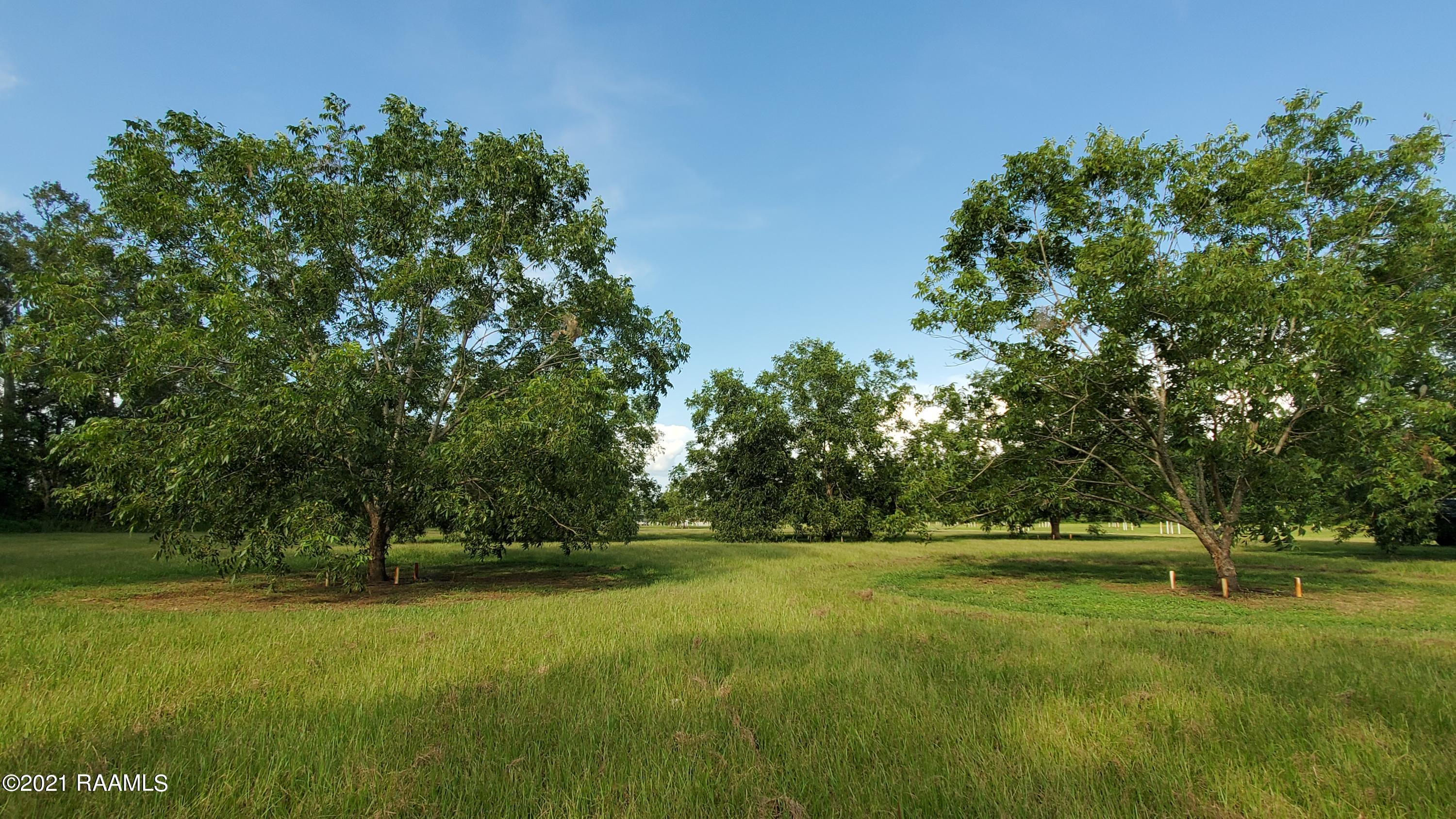 0 Gloria Kern Road Breaux Bridge, LA 70517 - Photo 25 of 25