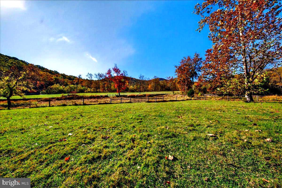 290 Riley Hollow Road Huntly, VA 22640 - Photo 125 of 148