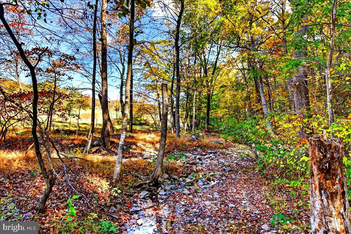 290 Riley Hollow Road Huntly, VA 22640 - Photo 140 of 148