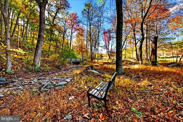 $2,195,000 | 290 Riley Hollow Road, Huntly, VA 22640