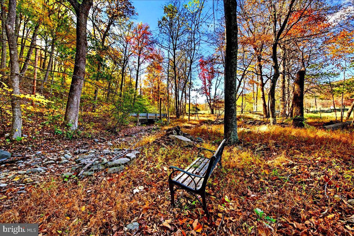 290 Riley Hollow Road Huntly, VA 22640 - Photo 142 of 148