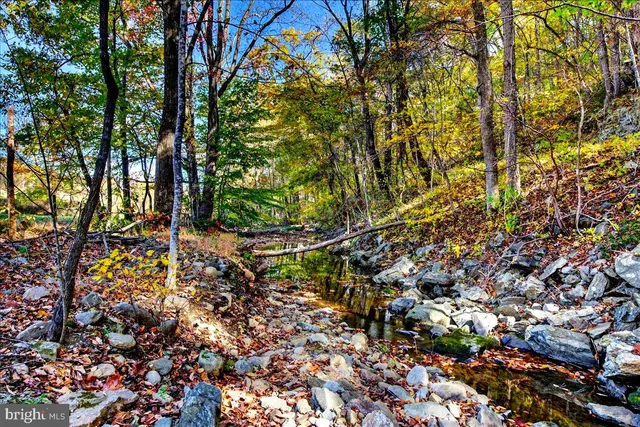 $2,195,000 | 290 Riley Hollow Road, Huntly, VA 22640