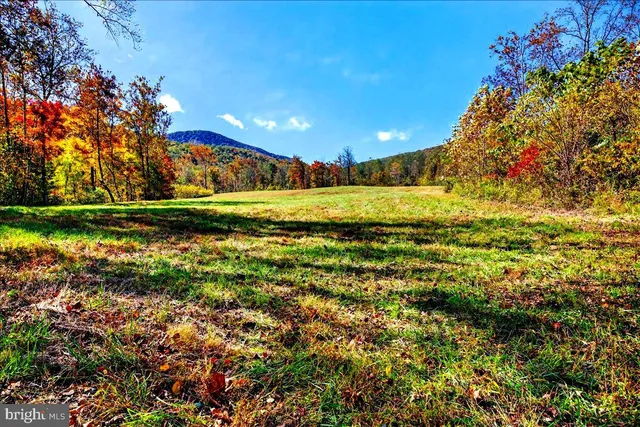 $2,195,000 | 290 Riley Hollow Road, Huntly, VA 22640