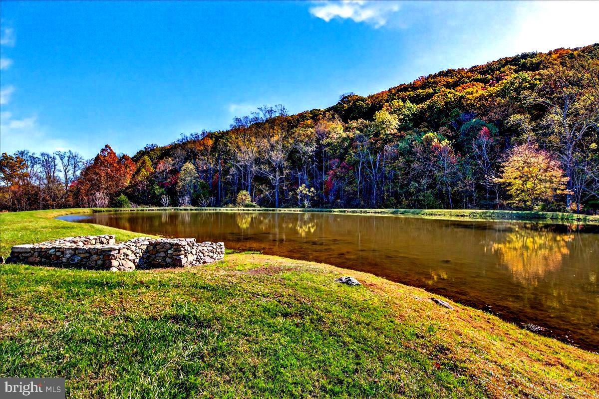 290 Riley Hollow Road Huntly, VA 22640 - Photo 4 of 148