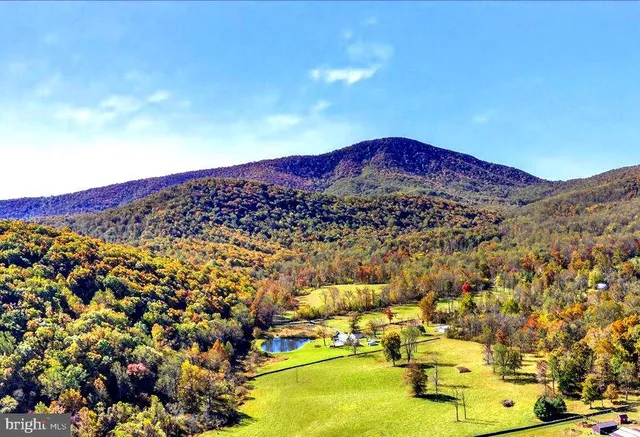 a bathroom with a toilet sink vanity shower and mirror