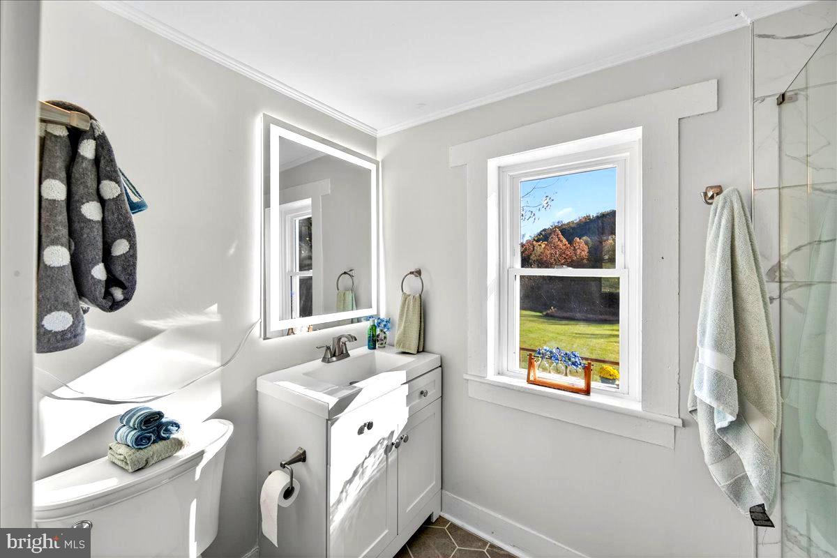 290 Riley Hollow Road Huntly, VA 22640 - Photo 62 of 148