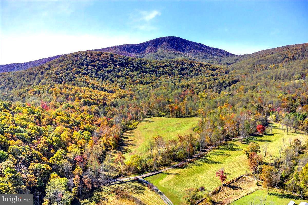 290 Riley Hollow Road Huntly, VA 22640 - Photo 76 of 148