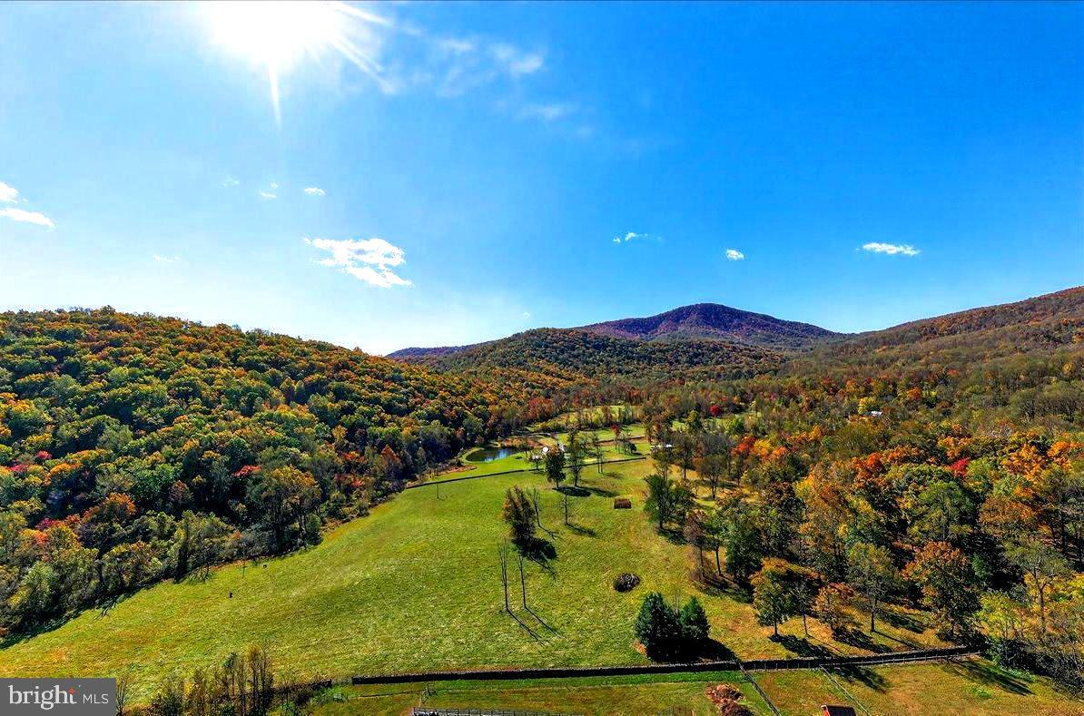 290 Riley Hollow Road Huntly, VA 22640 - Photo 84 of 148