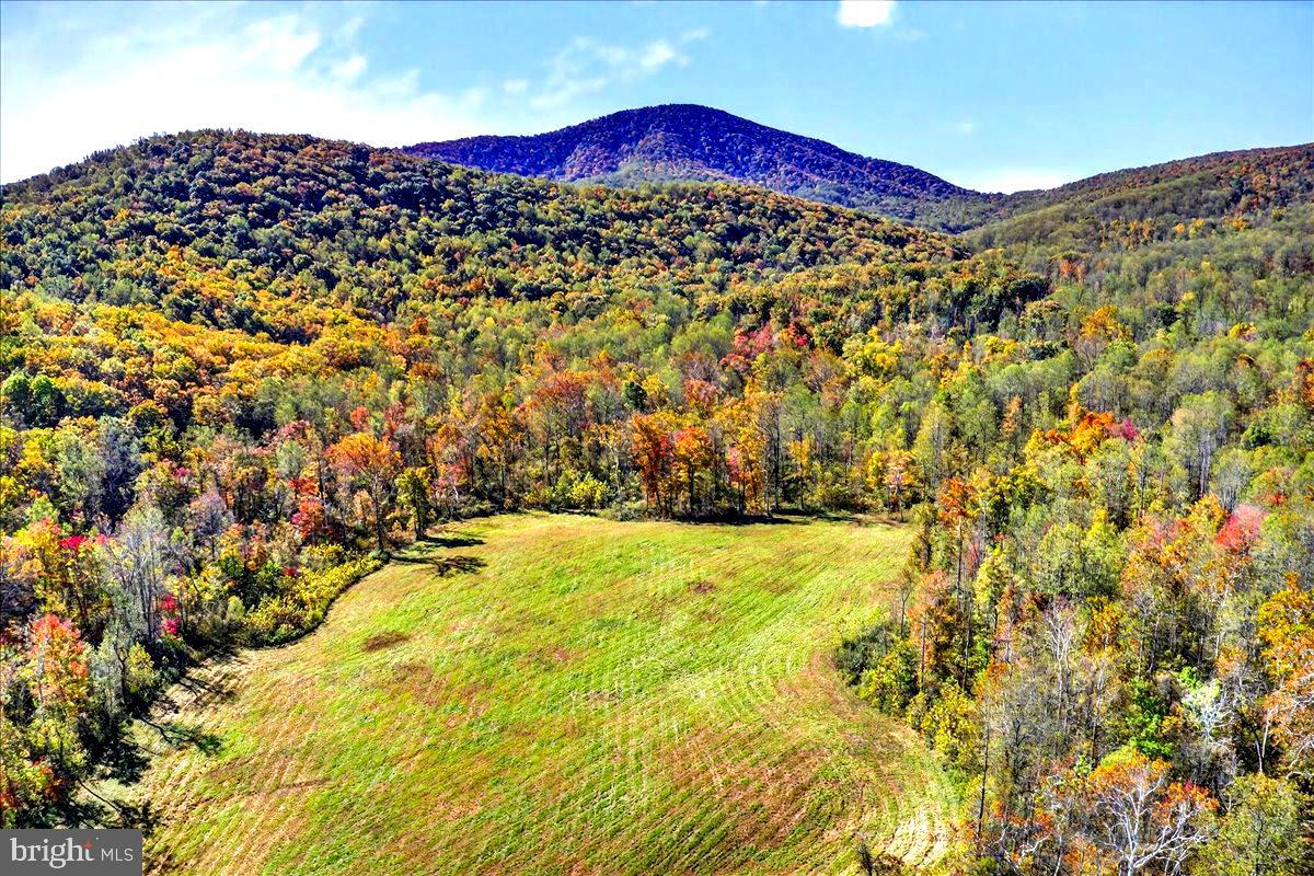 290 Riley Hollow Road Huntly, VA 22640 - Photo 88 of 148