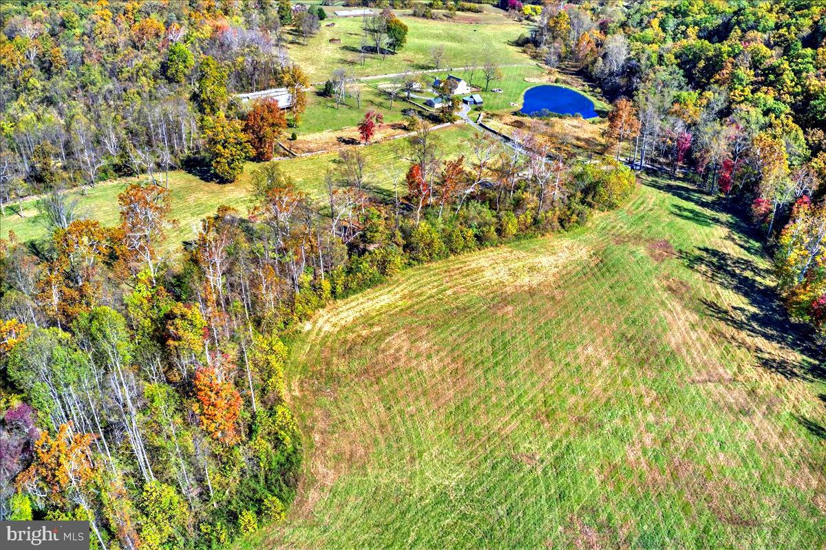 290 Riley Hollow Road Huntly, VA 22640 - Photo 96 of 148