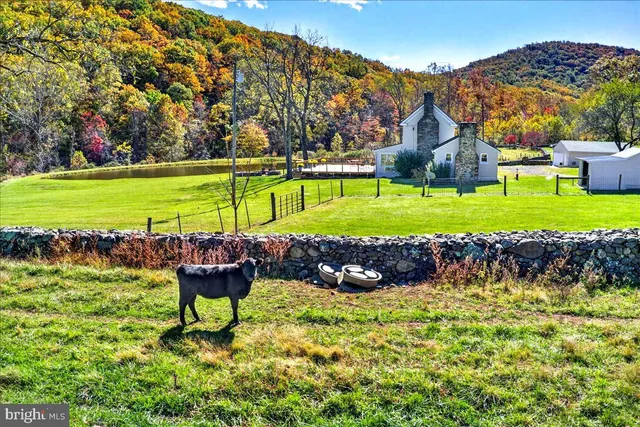 $2,195,000 | 290 Riley Hollow Road, Huntly, VA 22640