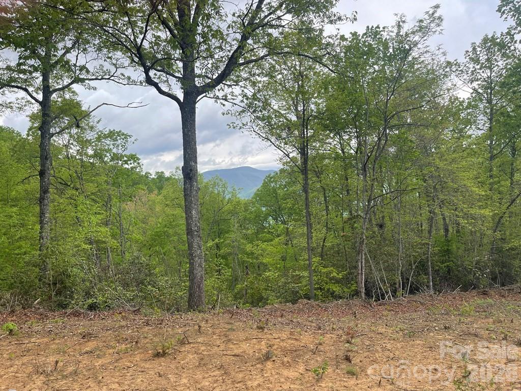 700 Copperhead Cove Road Sylva, NC 28779 - Photo 15 of 23