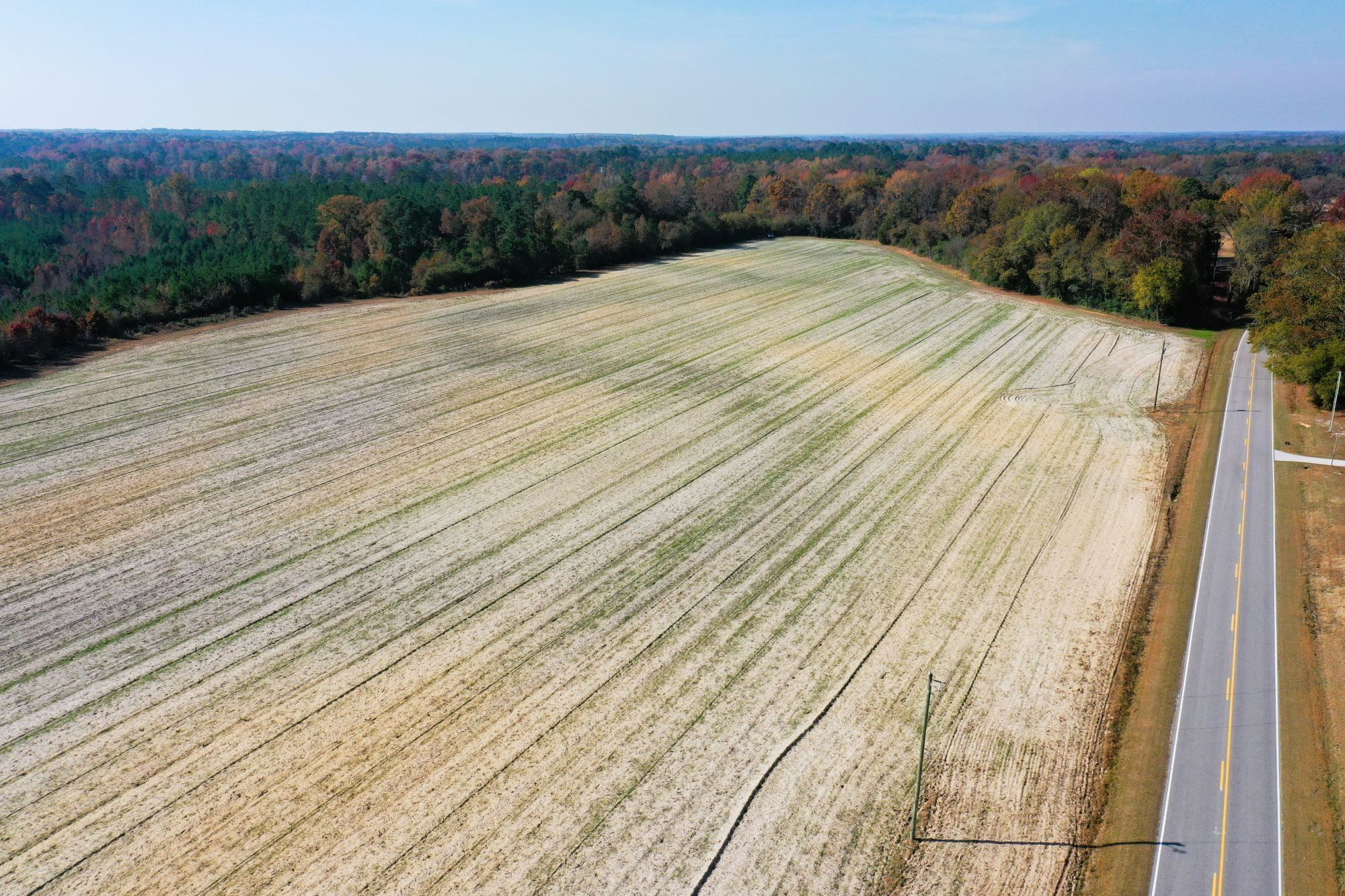 8 Josey Williams Road Erwin, NC 28339 - Photo 11 of 26 a view of balcony and wooden floor