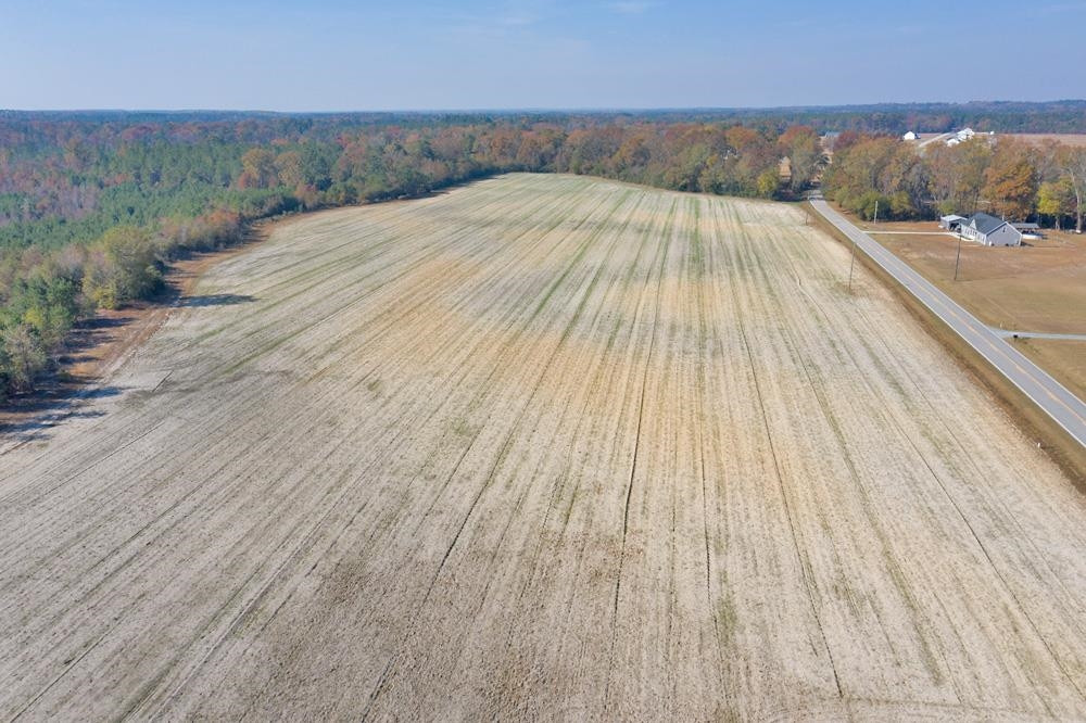 8 Josey Williams Road Erwin, NC 28339 - Photo 16 of 26 a view of outdoor space and yard