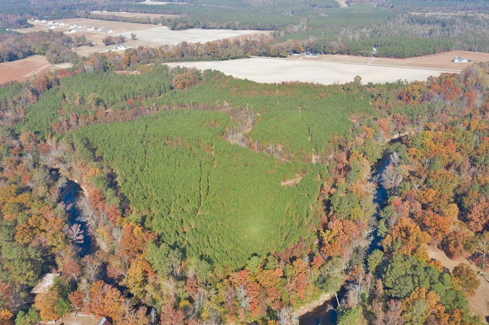 8 Josey Williams Road Erwin, NC 28339 - Photo 19 of 26 a view of a lake