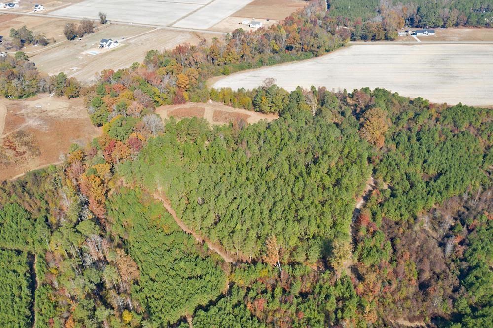 8 Josey Williams Road Erwin, NC 28339 - Photo 20 of 26 a view of a lake and green valley
