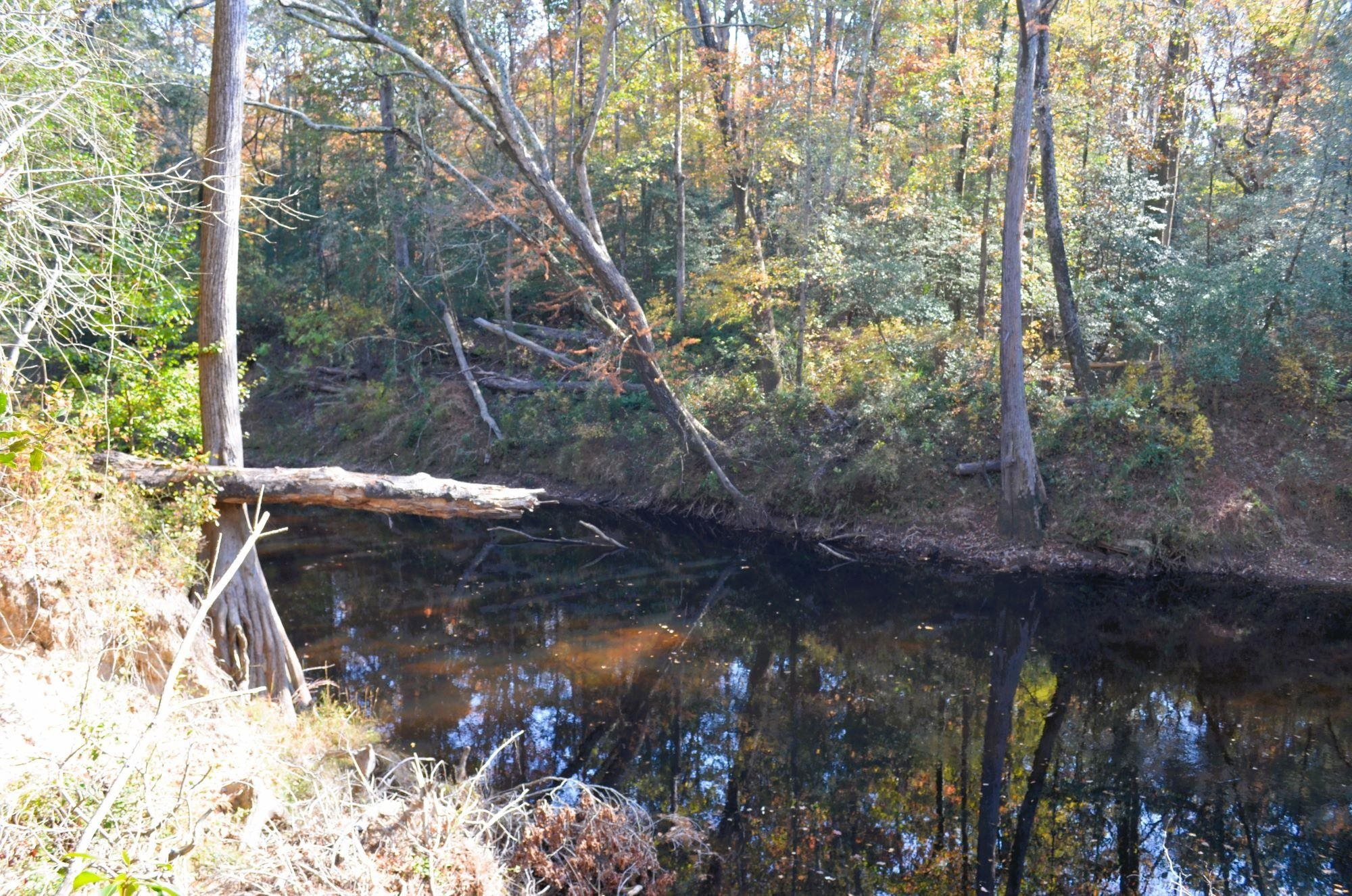 8 Josey Williams Road Erwin, NC 28339 - Photo 2 of 26 a view of a yard with a tree