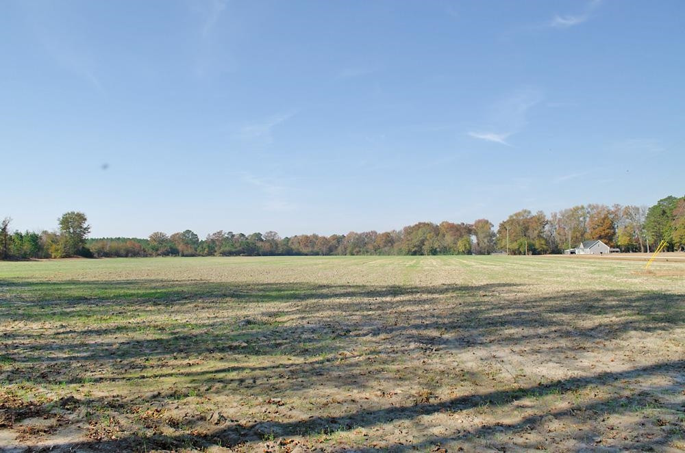 8 Josey Williams Road Erwin, NC 28339 - Photo 22 of 26 a view of lake and mountain view