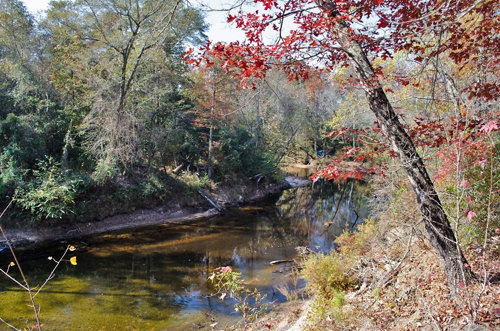 8 Josey Williams Road Erwin, NC 28339 - Photo 25 of 26 a view of a lake with a tree