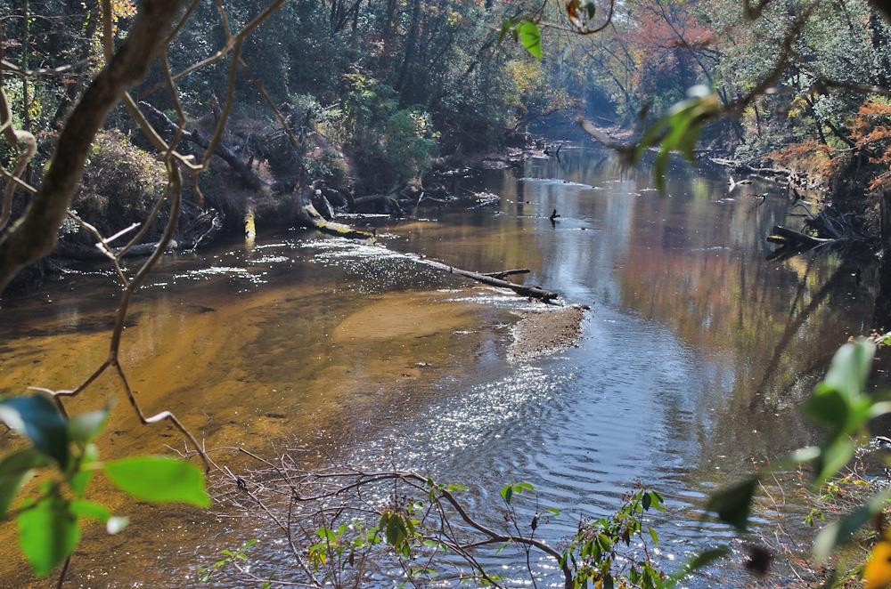 8 Josey Williams Road Erwin, NC 28339 - Photo 26 of 26 a view of a water fountain in a yard
