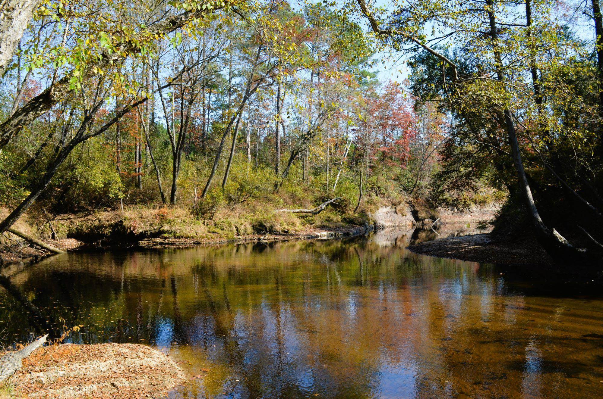 8 Josey Williams Road Erwin, NC 28339 - Photo 7 of 26 a view of lake