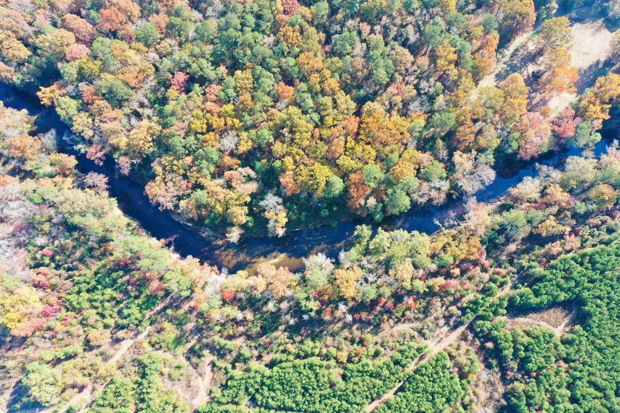 8 Josey Williams Road Erwin, NC 28339 - Photo 9 of 26 a view of flowers