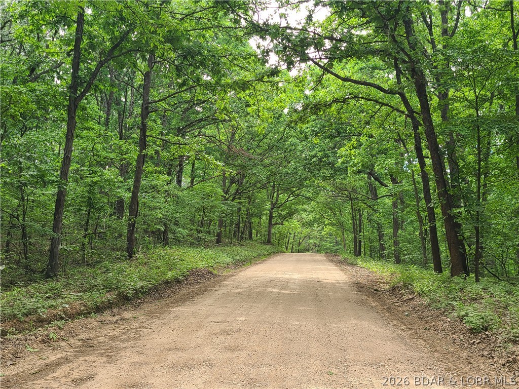 31025 Broken Circle Road Stover, MO 65078 - Photo 4 of 32 Canopy of shade trees - Broken Circle Road.