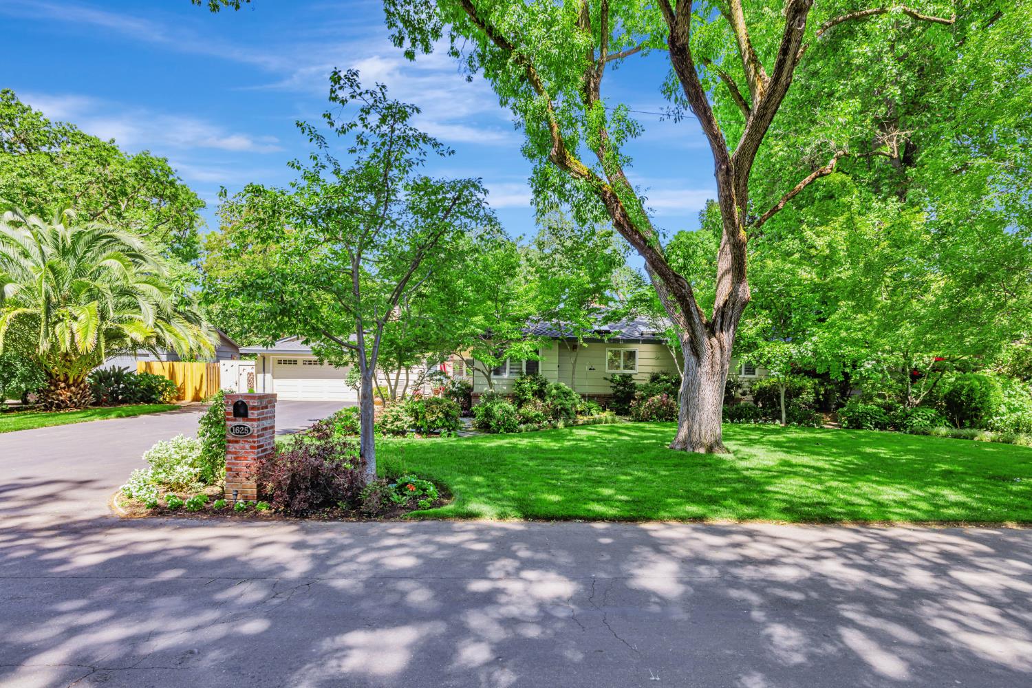 1625 Gary Way Carmichael, CA 95608 - Photo 26 of 49 a view of a backyard with a garden