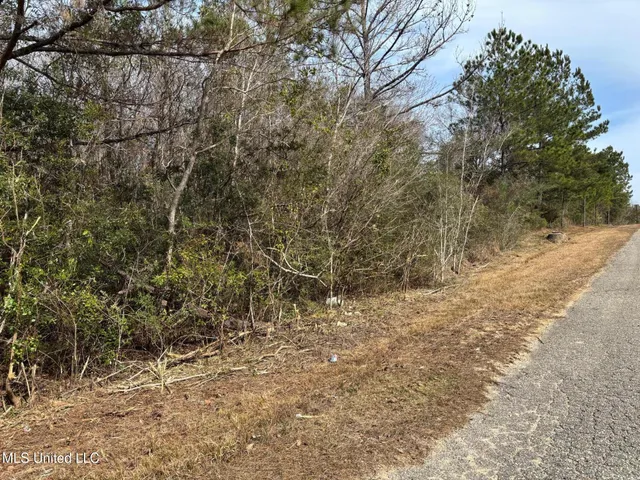 $27,000 | 0 Crestwick Street, Saucier, MS 39574