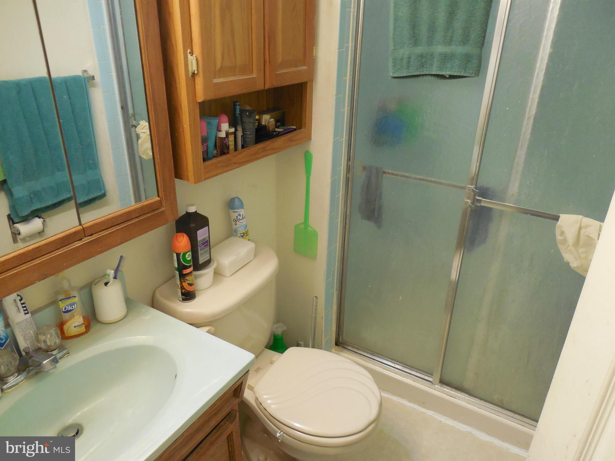 1336 Hillcrest Drive Frederick, MD 21703 - Photo 12 of 21 Bath (Master)