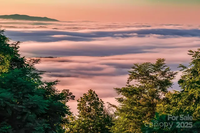 a view of city and mountain