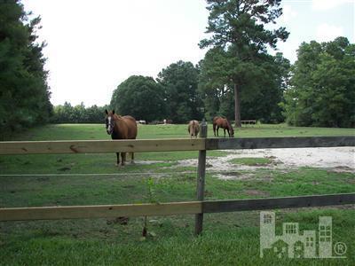 1177 Raccoon Road Willard, NC 28478 - Photo 11 of 15 Additional Photo