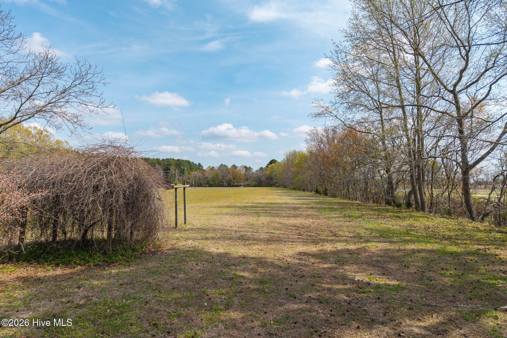 813 Puddin Ridge Road Moyock, NC 27958 - Photo 39 of 49 Grapevines and fruit trees