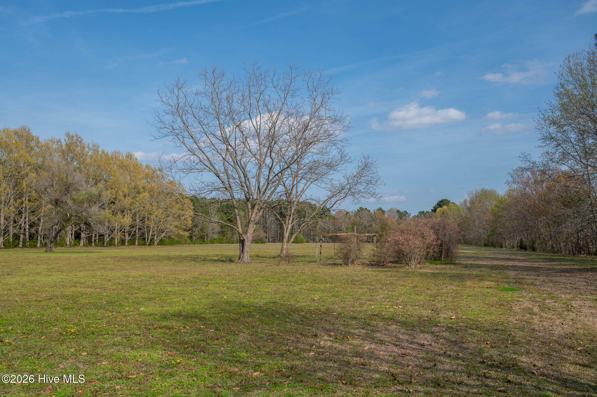 813 Puddin Ridge Road Moyock, NC 27958 - Photo 40 of 49 Mature trees